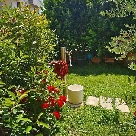 Casa Andre Homestay *