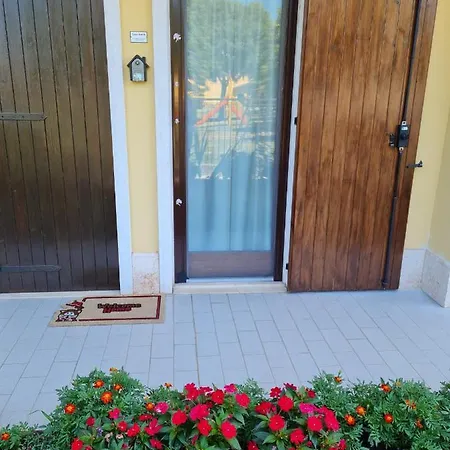 Homestay Casa Andre